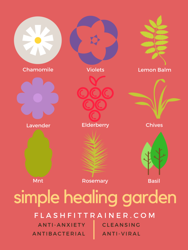 Plant a simple healing backyard garden with herbs and medicinal plants